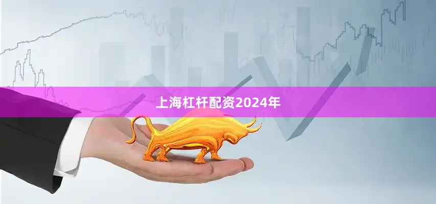 上海杠杆配资2024年