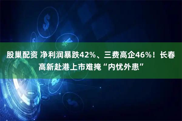 股巢配资 净利润暴跌42%、三费高企46%！长春高新赴港上市难掩“内忧外患”