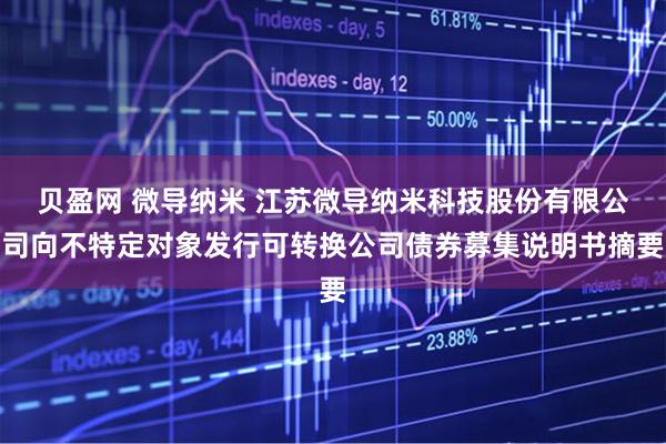 贝盈网 微导纳米 江苏微导纳米科技股份有限公司向不特定对象发行可转换公司债券募集说明书摘要